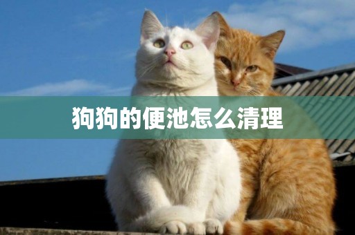 狗狗的便池怎么清理