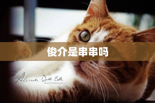 俊介是串串嗎