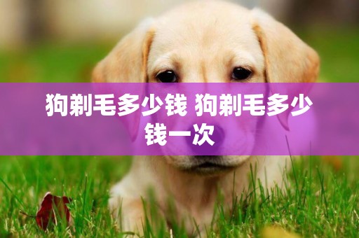 狗剃毛多少錢 狗剃毛多少錢一次