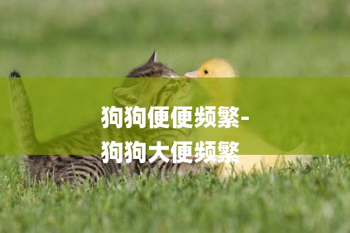 狗狗便便頻繁-
狗狗大便頻繁
