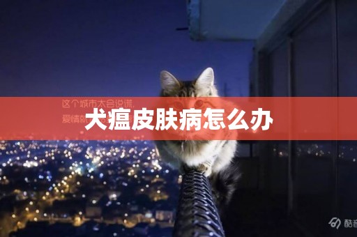 犬瘟皮膚病怎么辦