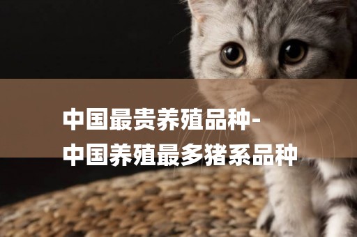 中國最貴養殖品種-
中國養殖最多豬系品種