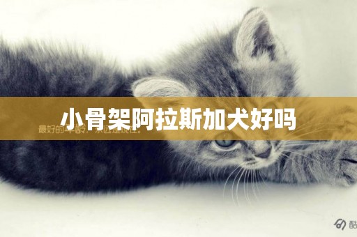 小骨架阿拉斯加犬好嗎