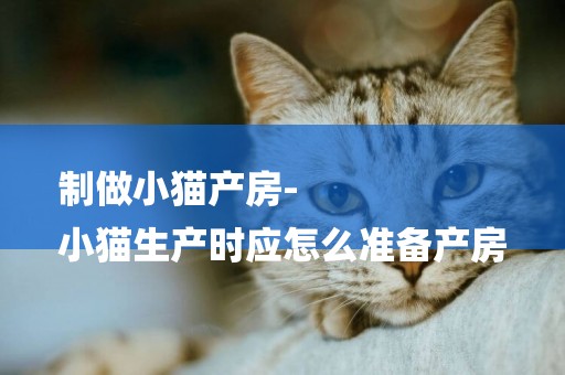 制做小貓產房-
小貓生產時應怎么準備產房
