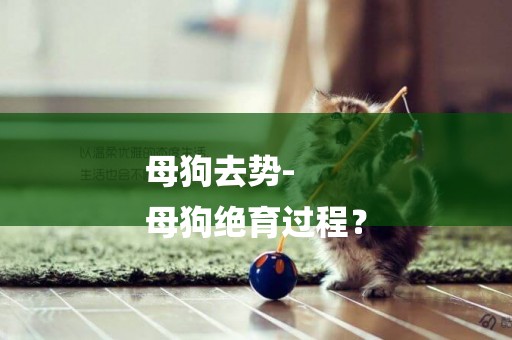 母狗去勢-
母狗絕育過程？
