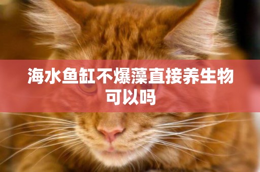 海水魚缸不爆藻直接養生物可以嗎
