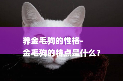 養金毛狗的性格-
金毛狗的特點是什么？