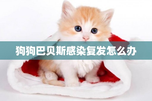 狗狗巴貝斯感染復發怎么辦