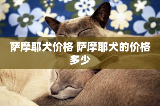 薩摩耶犬價格 薩摩耶犬的價格多少