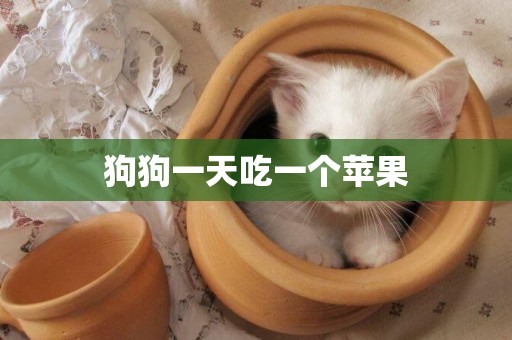 狗狗一天吃一個蘋果