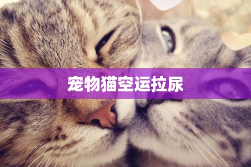 寵物貓空運拉尿