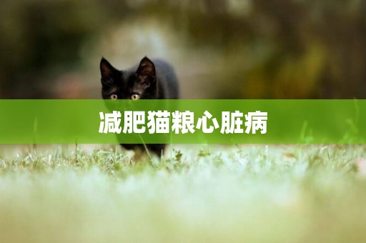 減肥貓糧心臟病