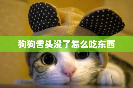 狗狗舌頭沒了怎么吃東西