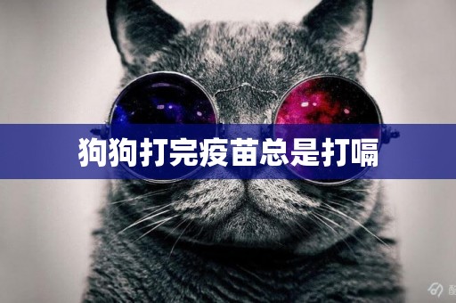 狗狗打完疫苗總是打嗝