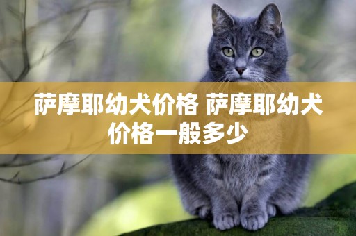 薩摩耶幼犬價格 薩摩耶幼犬價格一般多少