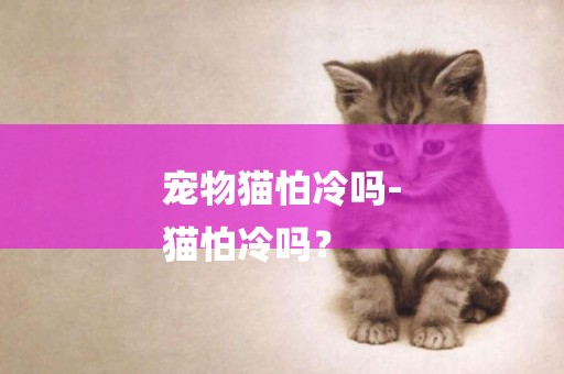 寵物貓怕冷嗎-
貓怕冷嗎？