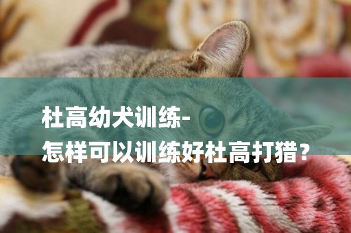 杜高幼犬訓練-
怎樣可以訓練好杜高打獵？