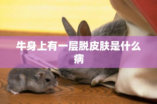 牛身上有一層脫皮膚是什么病
