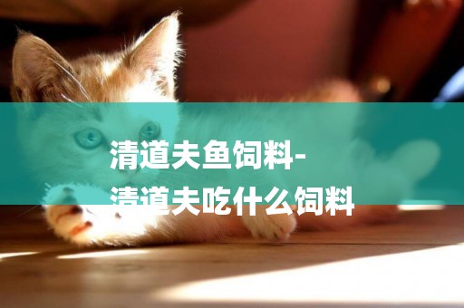 清道夫魚飼料-
清道夫吃什么飼料