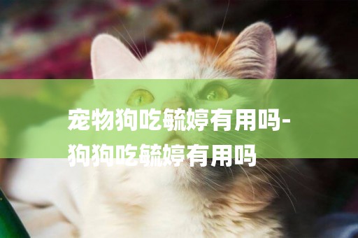 寵物狗吃毓婷有用嗎-
狗狗吃毓婷有用嗎