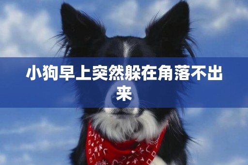 小狗早上突然躲在角落不出來