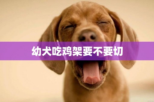 幼犬吃雞架要不要切