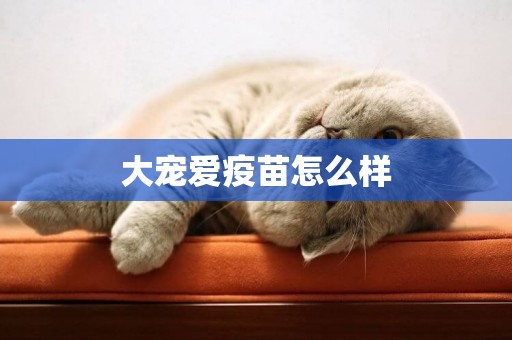 大寵愛疫苗怎么樣