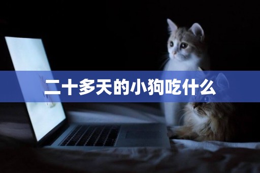 二十多天的小狗吃什么