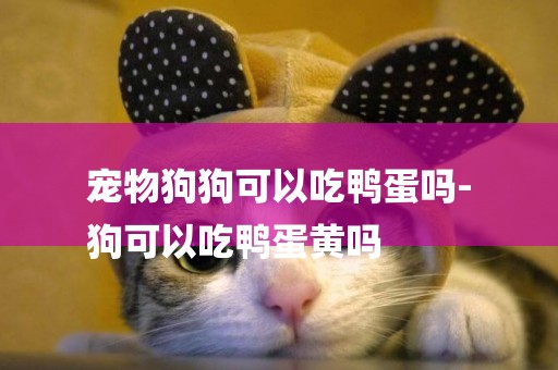 寵物狗狗可以吃鴨蛋嗎-
狗可以吃鴨蛋黃嗎