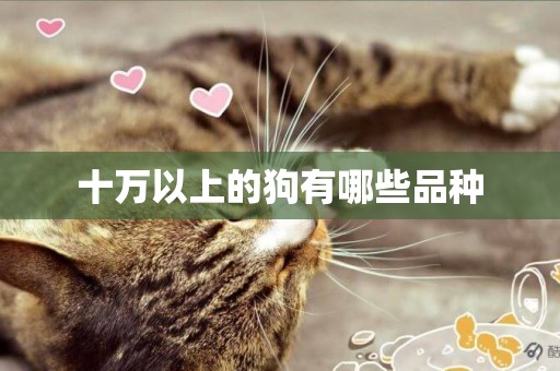 十萬以上的狗有哪些品種