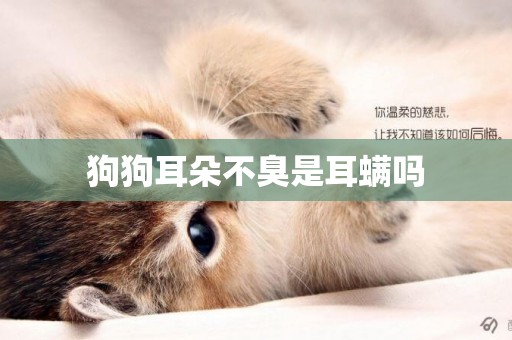 狗狗耳朵不臭是耳螨嗎
