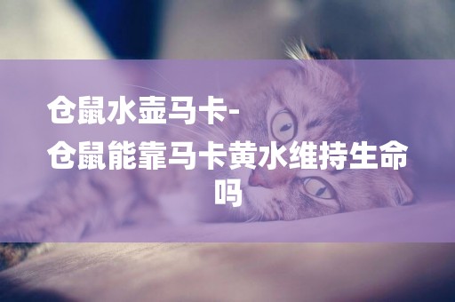 倉鼠水壺馬卡-
倉鼠能靠馬卡黃水維持生命嗎