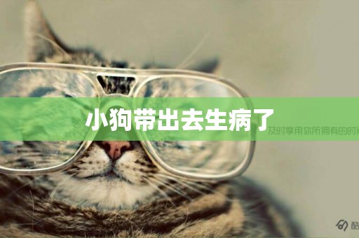 小狗帶出去生病了