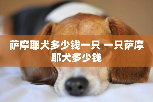 薩摩耶犬多少錢一只 一只薩摩耶犬多少錢