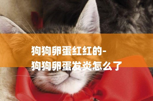 狗狗卵蛋紅紅的-
狗狗卵蛋發炎怎么了