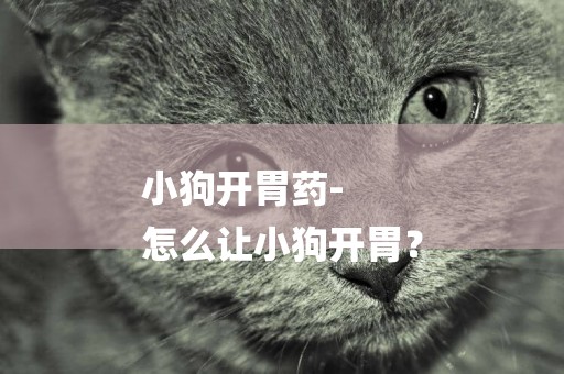 小狗開胃藥-
怎么讓小狗開胃？