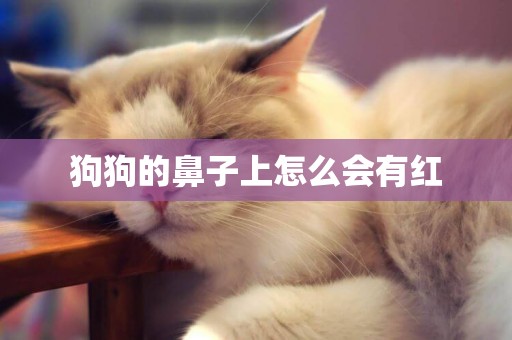 狗狗的鼻子上怎么會有紅