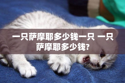 一只薩摩耶多少錢一只 一只薩摩耶多少錢?