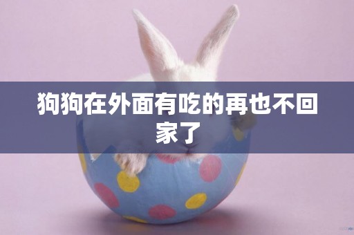 狗狗在外面有吃的再也不回家了
