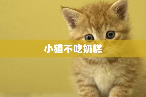 小貓不吃奶糕