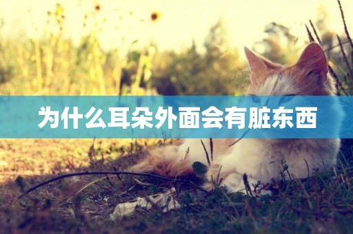 為什么耳朵外面會有臟東西