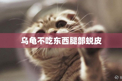 烏龜不吃東西腿部蛻皮
