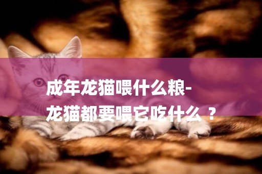 成年龍貓喂什么糧-
龍貓都要喂它吃什么 ？