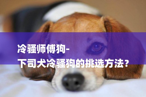 冷騷師傅狗-
下司犬冷騷狗的挑選方法？