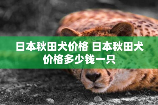 日本秋田犬價格 日本秋田犬價格多少錢一只