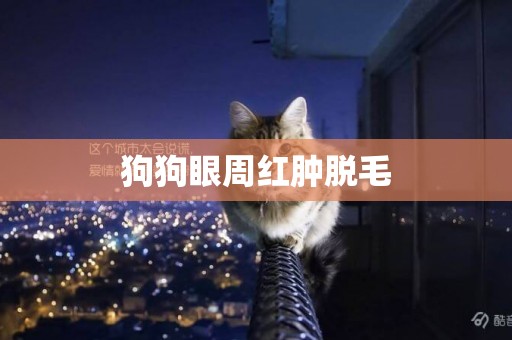 狗狗眼周紅腫脫毛