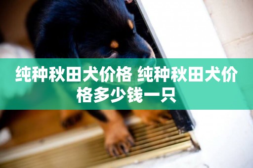 純種秋田犬價格 純種秋田犬價格多少錢一只