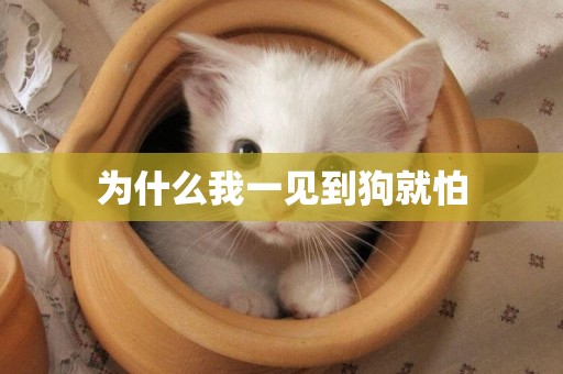 為什么我一見到狗就怕