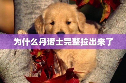 為什么丹諾士完整拉出來了