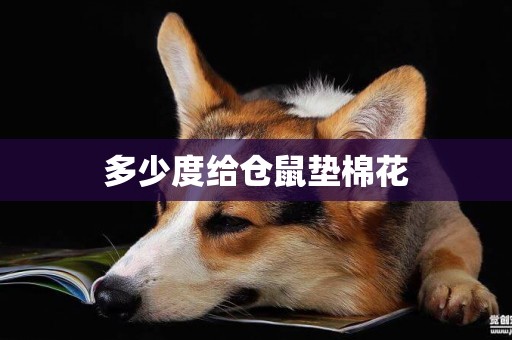 多少度給倉鼠墊棉花